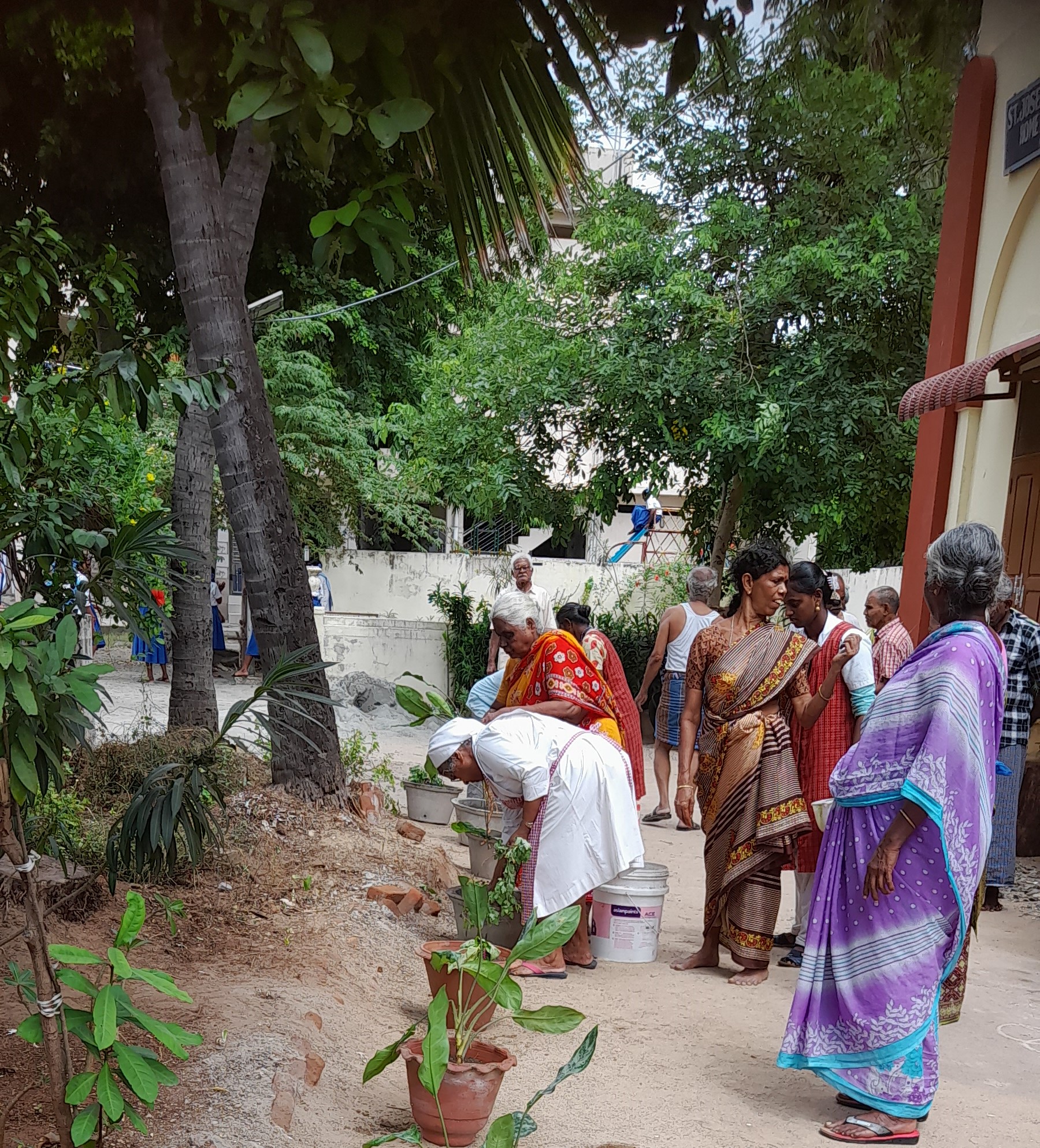 Planting Trees